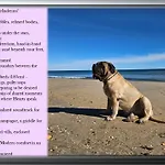 L'hyliadenna Avec Jardin Au Coeur D'heliopolis - Village Naturiste, A Pied *